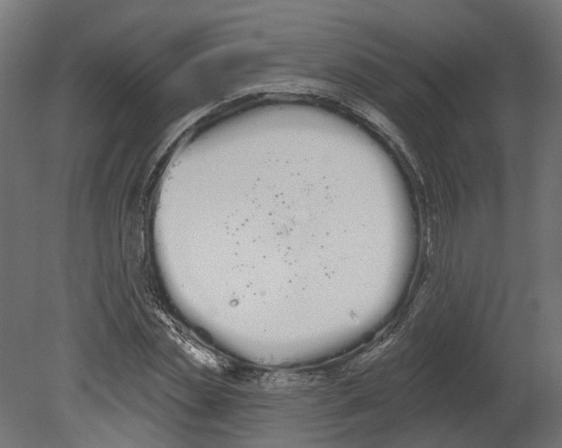 X0000080670829200701121630