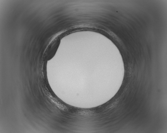 X0000080670830200701121630