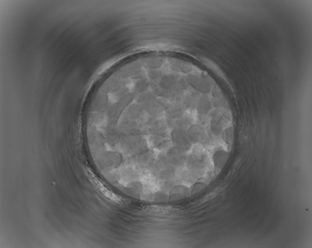 X0000080670831200701121630