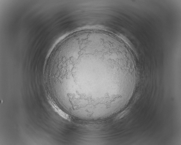 X0000080670832200701121630