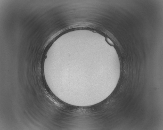 X0000080670834200701121630