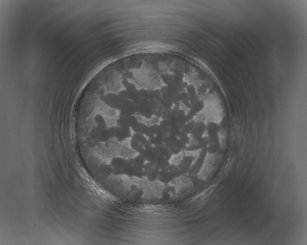 X0000080670835200701121630