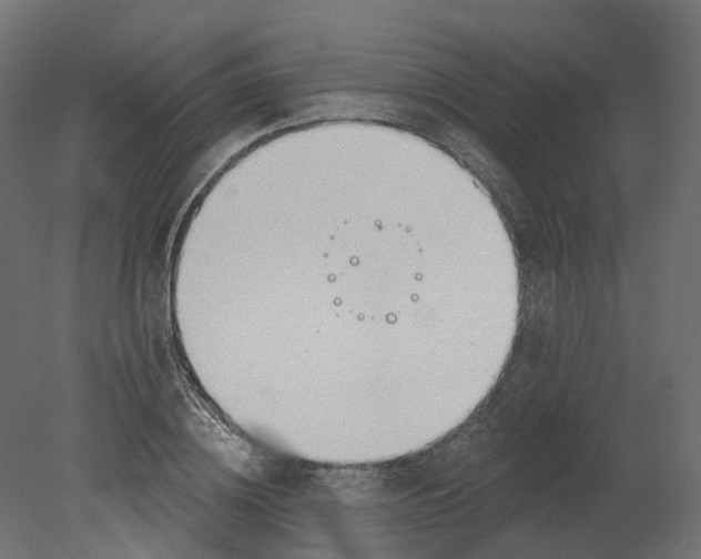 X0000080670836200701121630