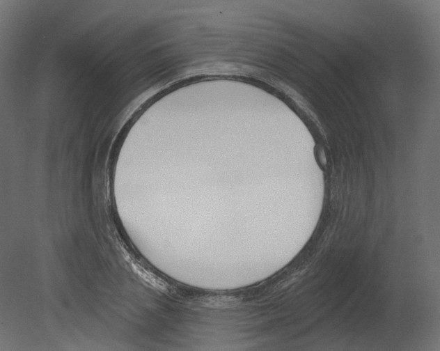 X0000080670837200701121630