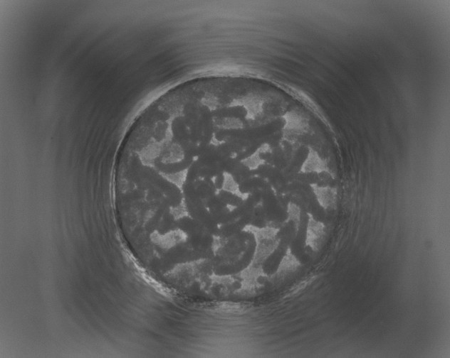 X0000080670839200701121630