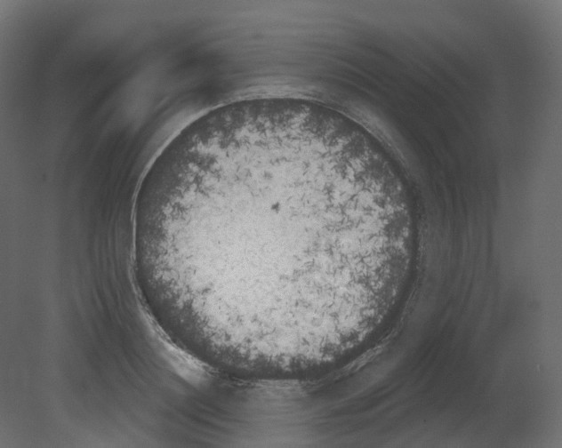 X0000080670844200701121630