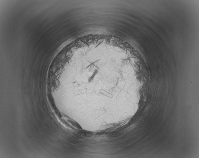 X0000080670845200701121630