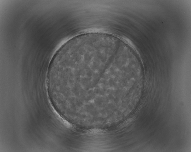 X0000080670847200701121630