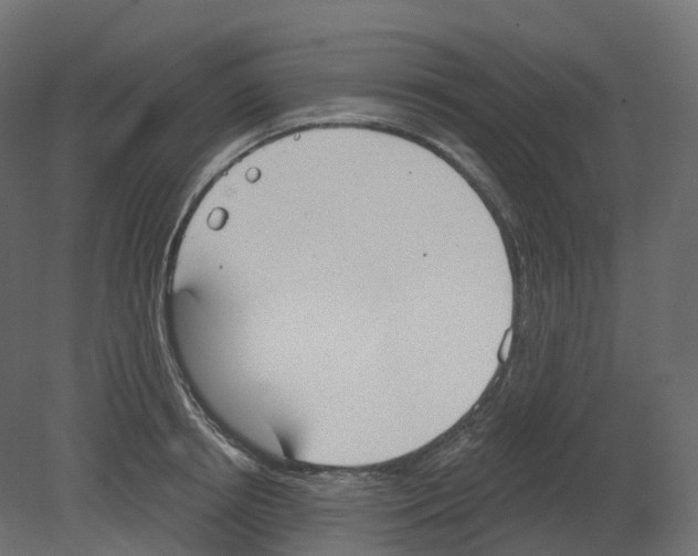 X0000080670850200701121630