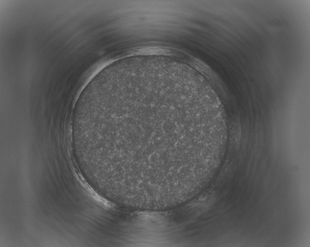 X0000080670852200701121631