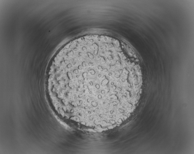 X0000080670853200701121631