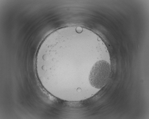 X0000080670856200701121631