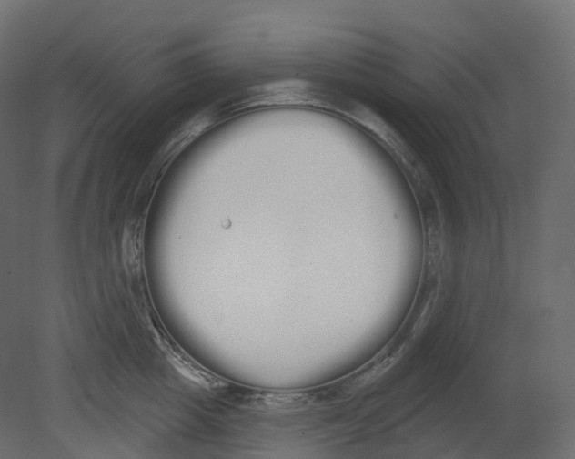 X0000080670857200701121631