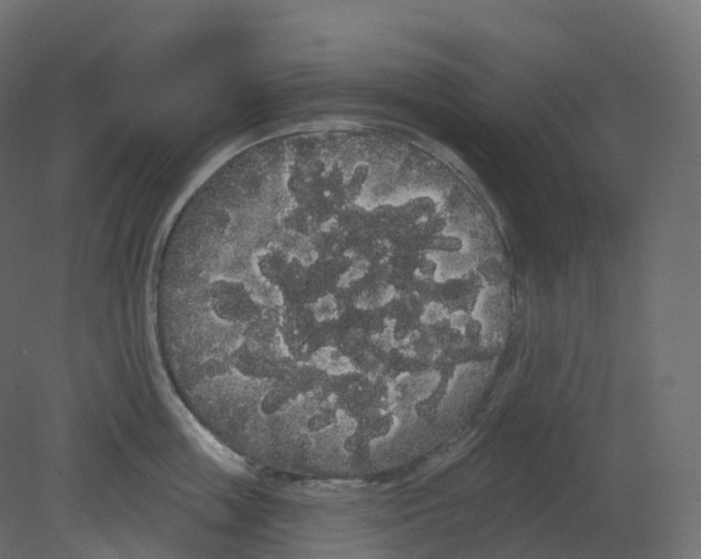 X0000080670859200701121631