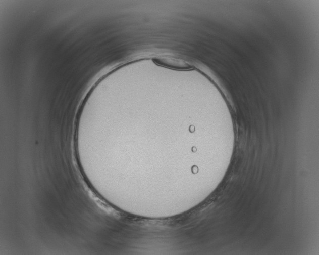 X0000080670861200701121631