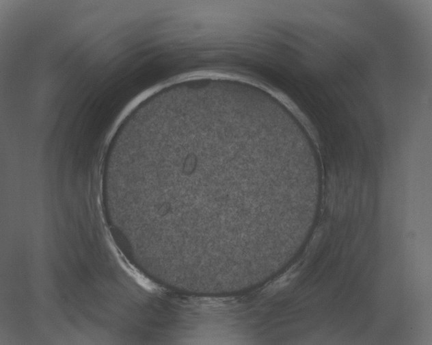 X0000080670862200701121631