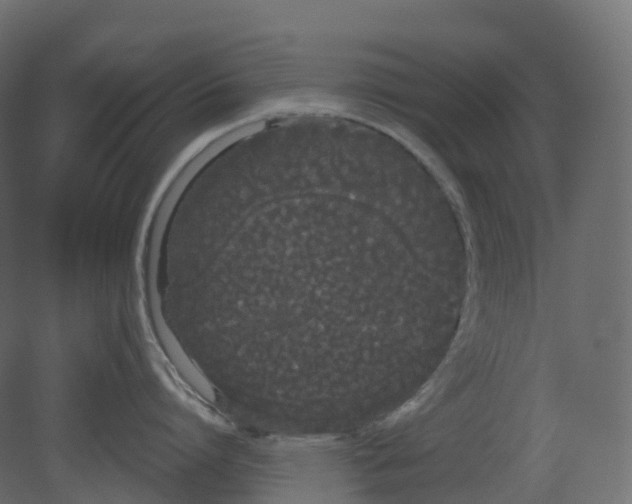 X0000080670864200701121631