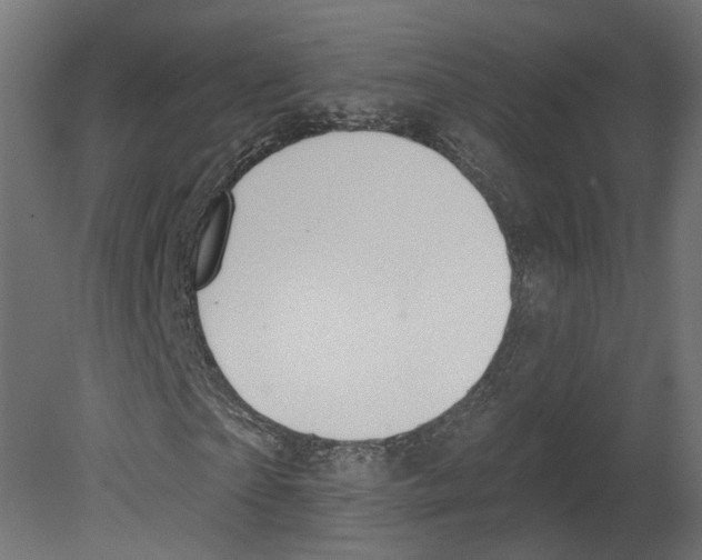 X0000080670865200701121630