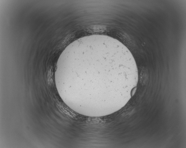 X0000080670866200701121630