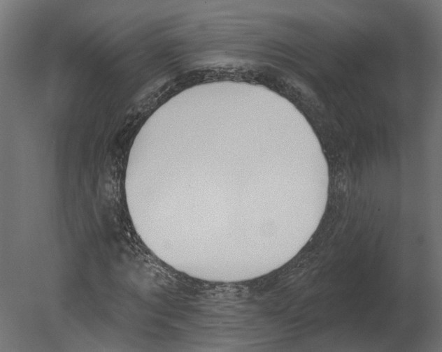 X0000080670869200701121630