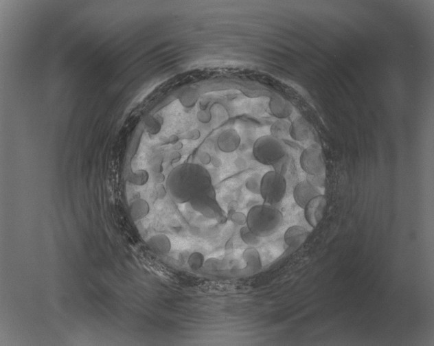 X0000080670871200701121630