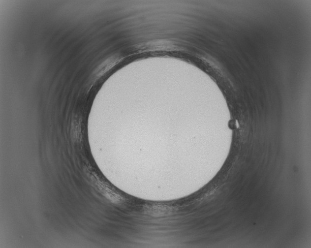 X0000080670873200701121630