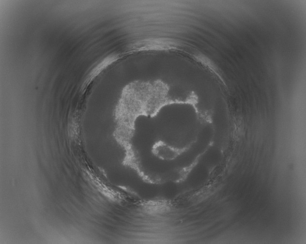 X0000080670874200701121630