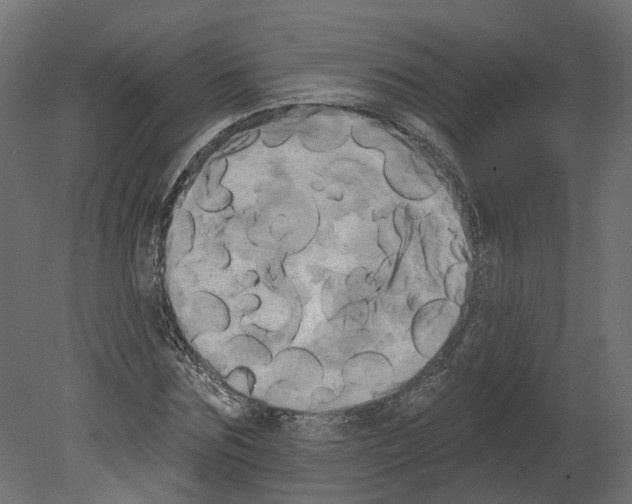 X0000080670875200701121630