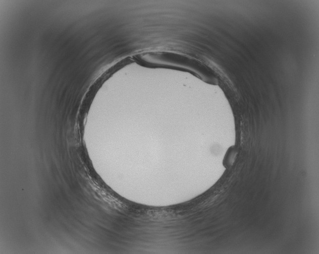 X0000080670876200701121630