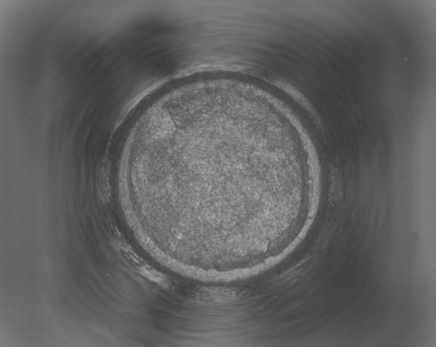 X0000080670878200701121630