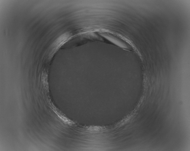 X0000080670881200701121630