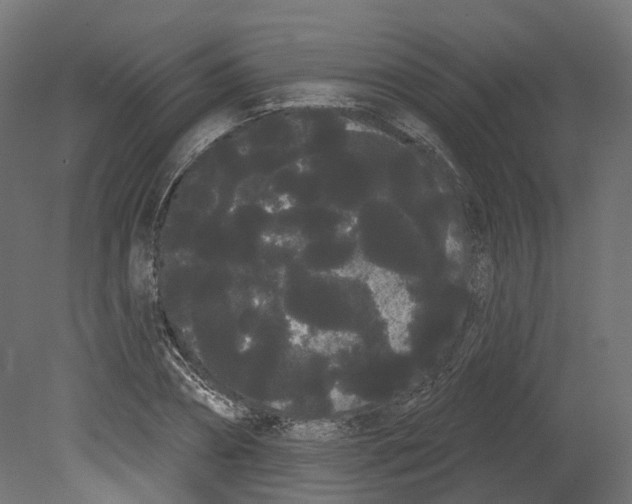 X0000080670882200701121630