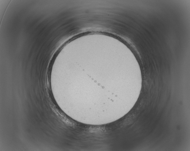 X0000080670887200701121630