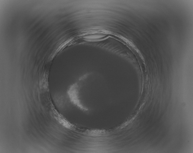 X0000080670889200701121629