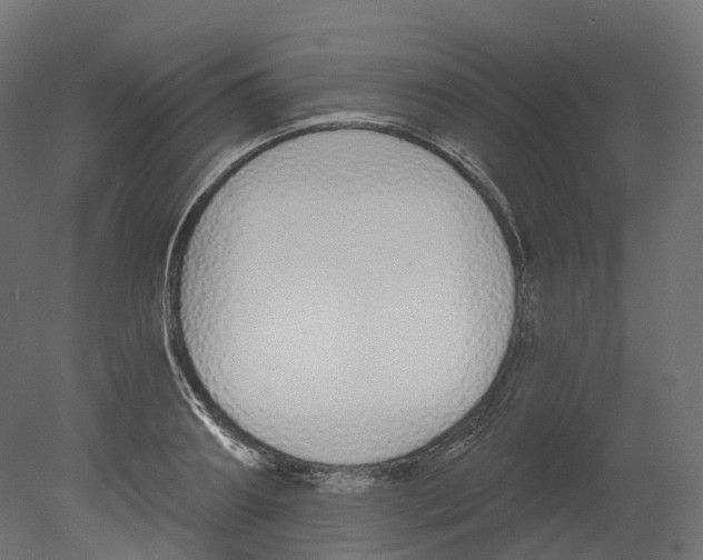 X0000080670890200701121629