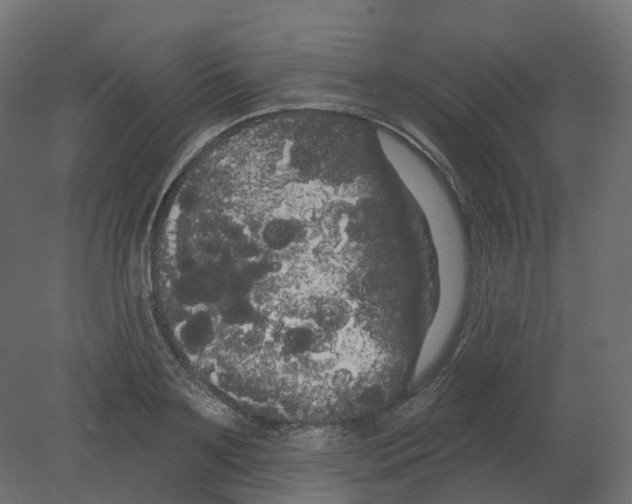 X0000080670891200701121629