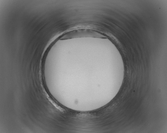 X0000080670894200701121629