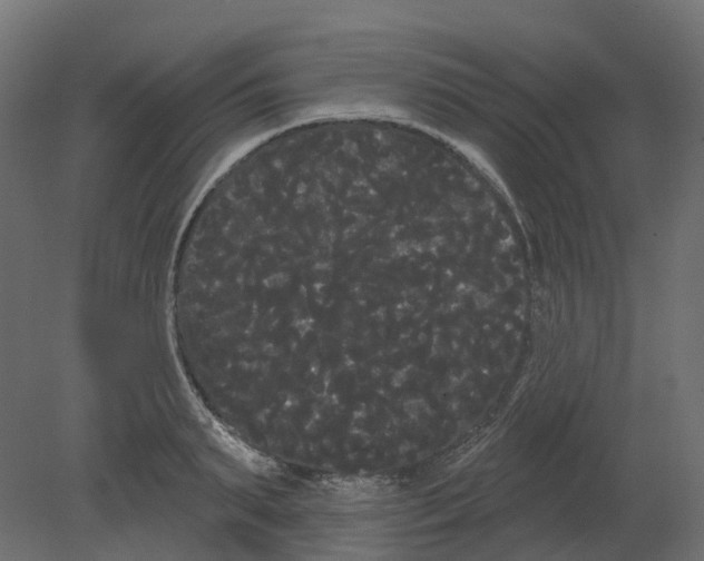 X0000080670895200701121629