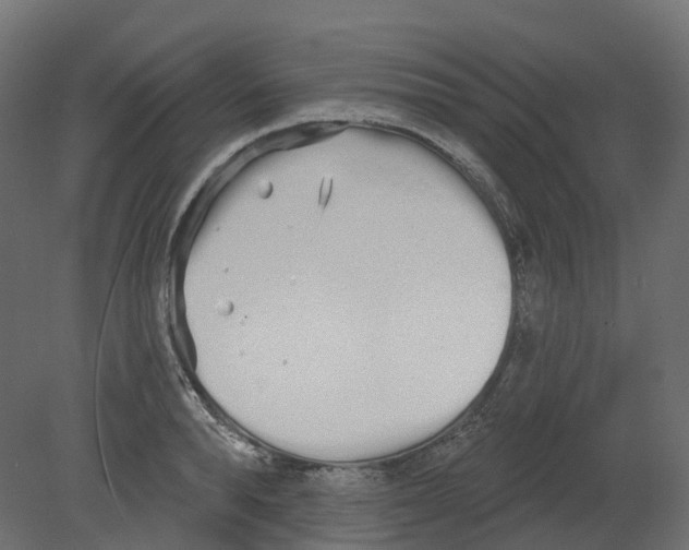 X0000080670896200701121629