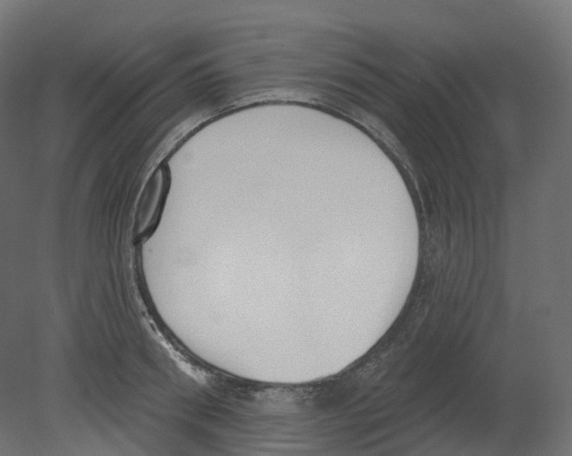 X0000080670898200701121629