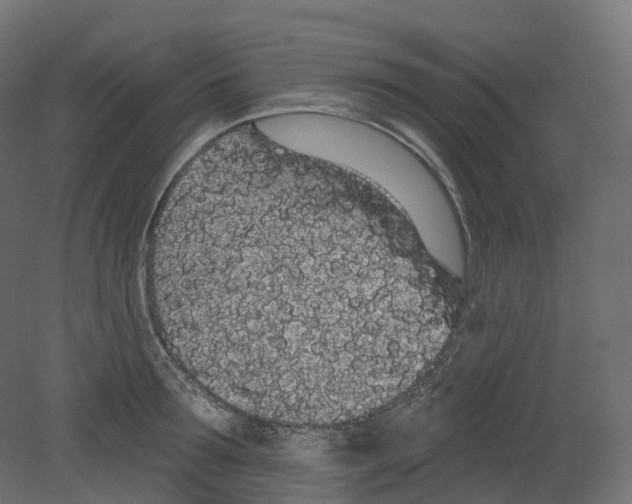 X0000080670899200701121629