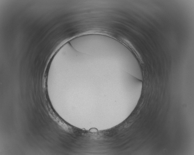 X0000080670900200701121629