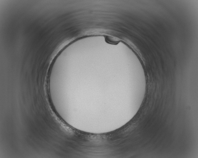 X0000080670901200701121629