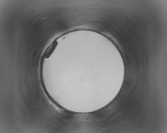 X0000080670902200701121629