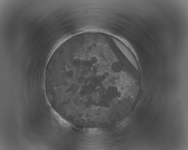 X0000080670903200701121629