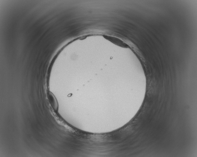 X0000080670904200701121629