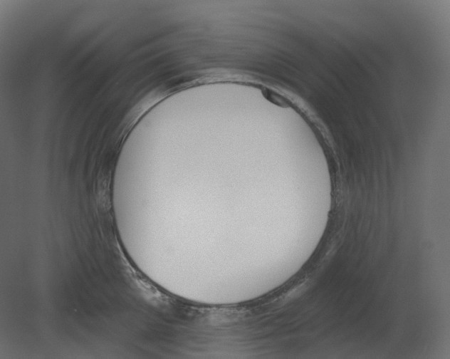 X0000080670905200701121629