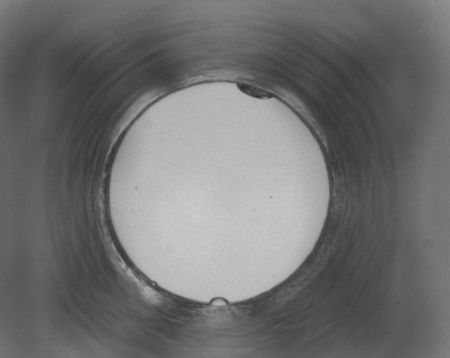 X0000080670906200701121629