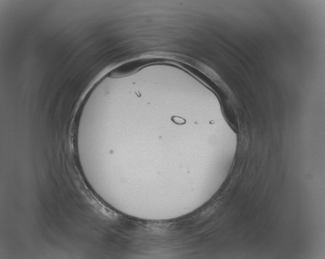 X0000080670908200701121629