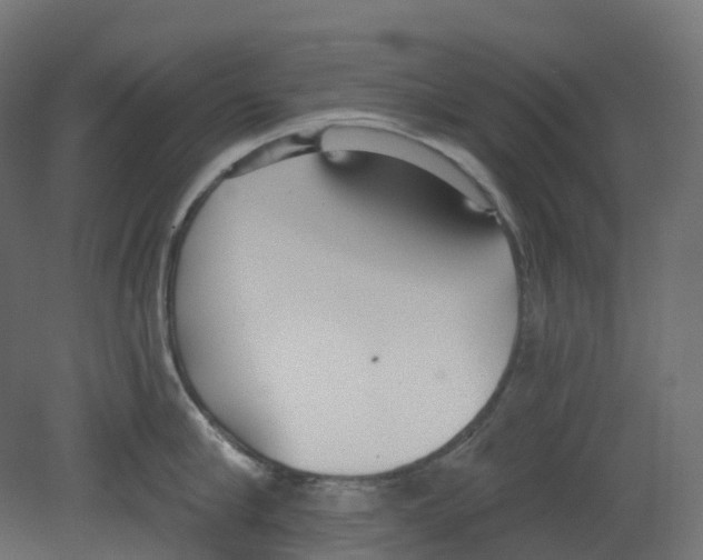 X0000080670910200701121629